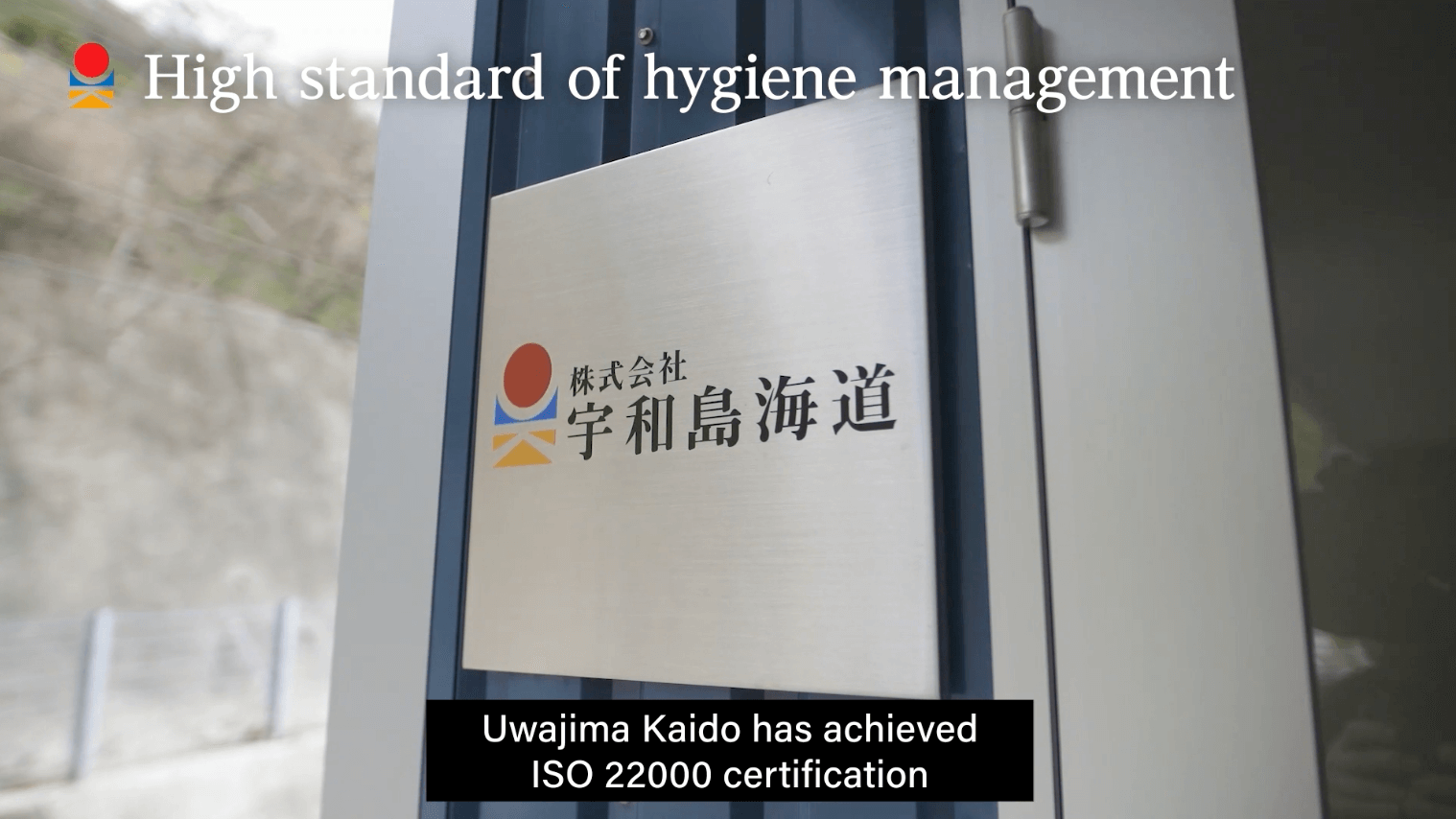 Buy Premium Hamachi Fillet Online Fresh & Premium Quality