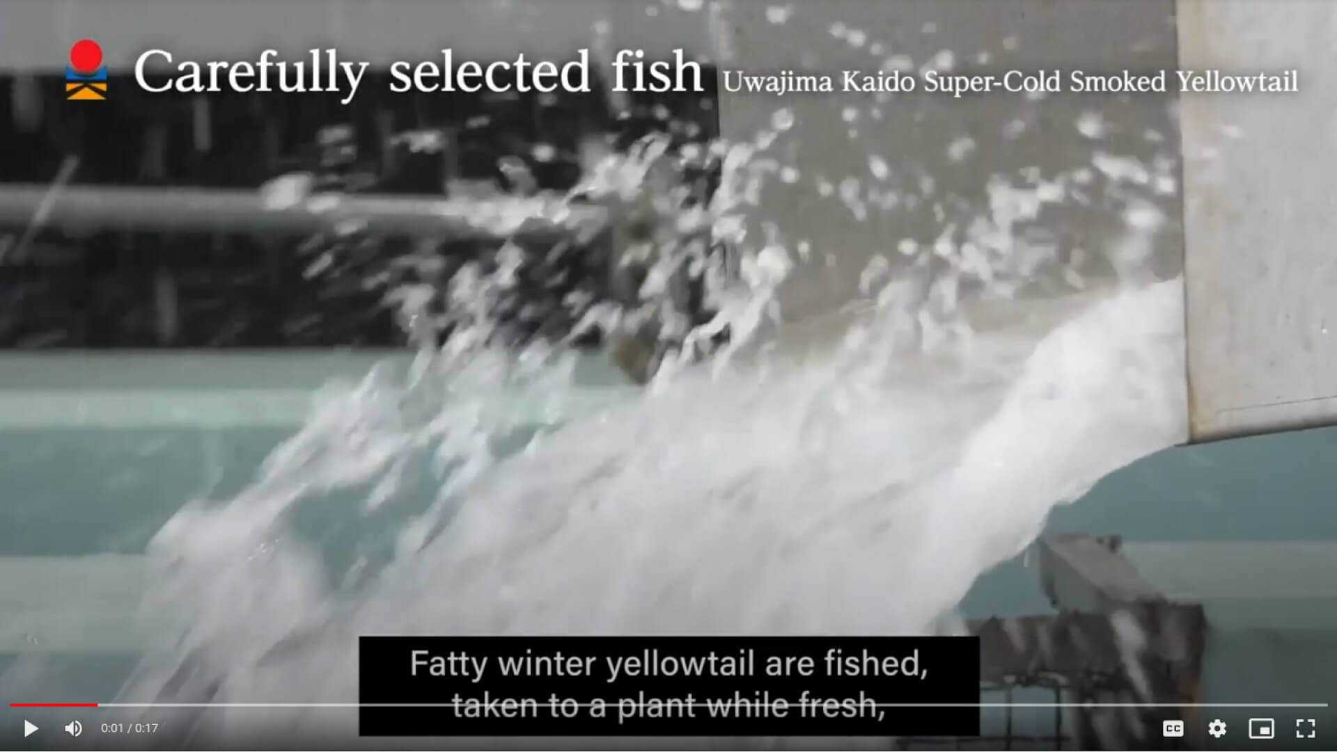 Buy Premium Hamachi Fillet Online Fresh & Premium Quality